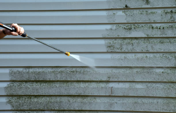 Best Pressure Washing Company Near Me  in Danvle, IL